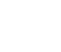 va-logo-white